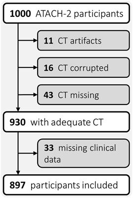 Radiomic markers of intracerebral hemorrhage expansion on non-contrast CT: independent validation and comparison with visual markers